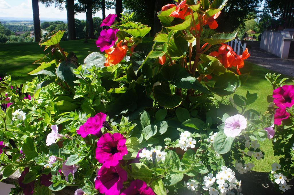 Manor & Garden Отель Appleby-in-Westmorland
